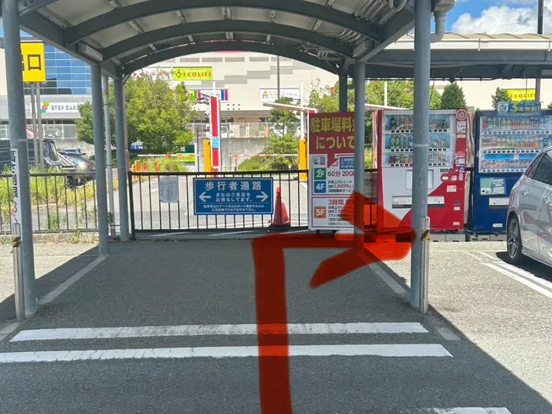 駐車場の側道を歩き北へ